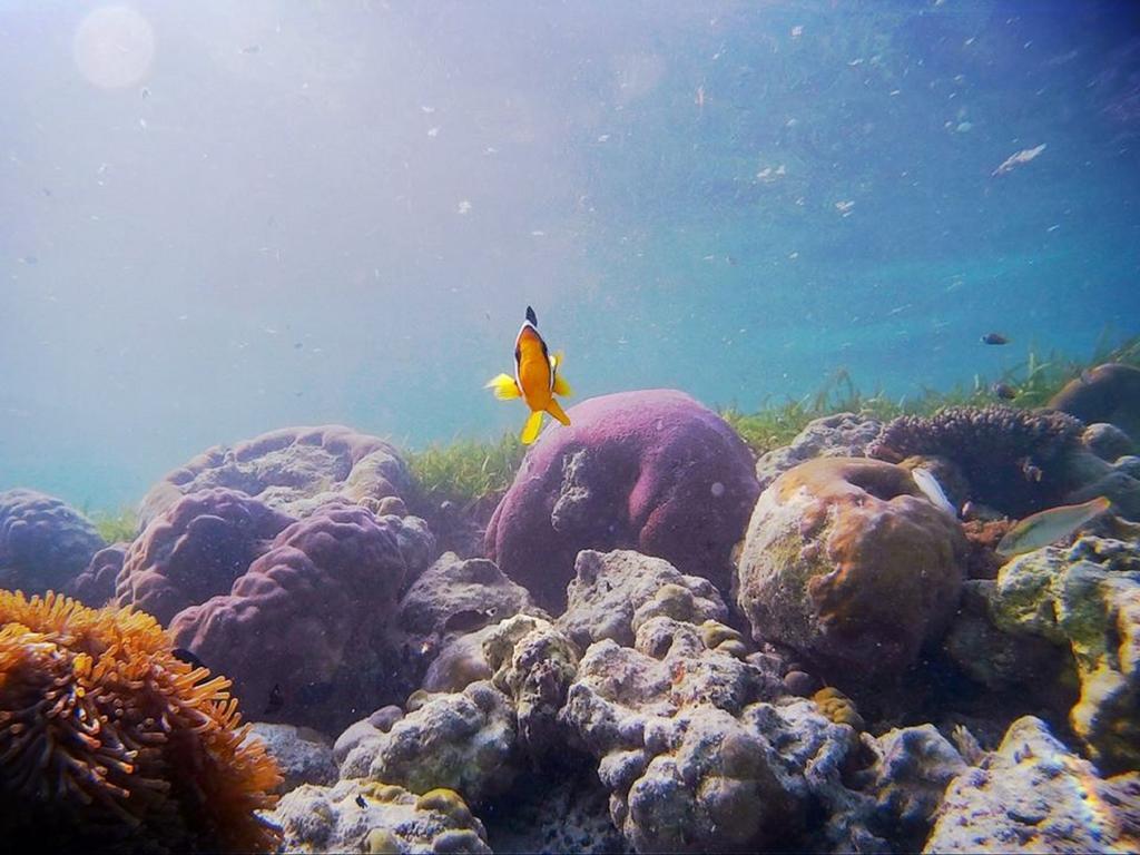 Alvi Star Inn Thulhaadhoo Luaran gambar