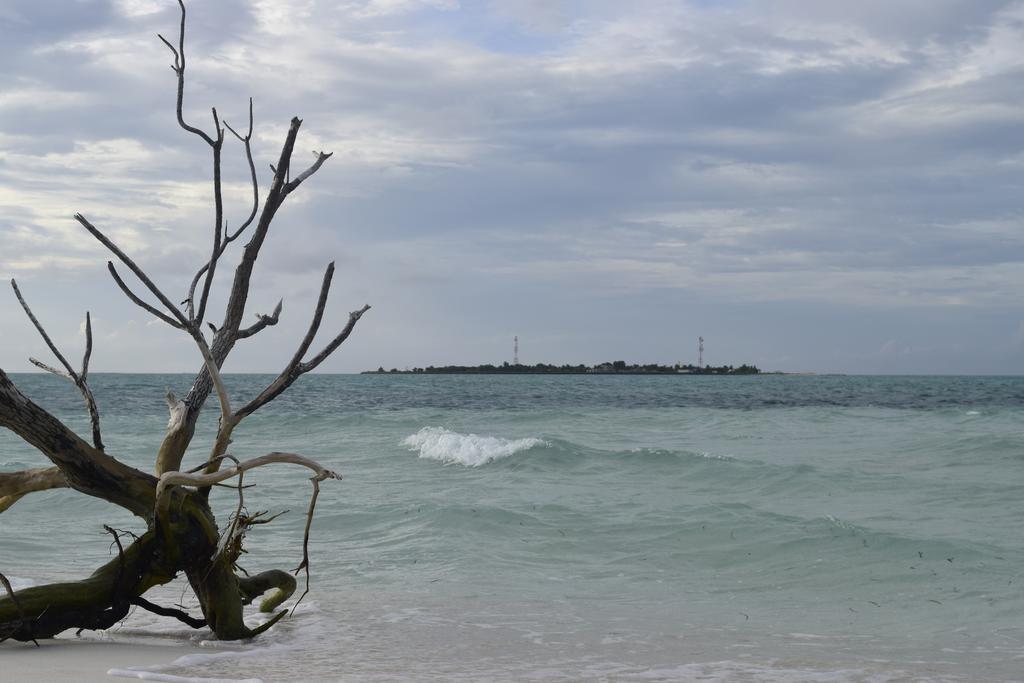 Alvi Star Inn Thulhaadhoo Luaran gambar